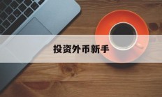 投资外币新手(投资外币是什么意思)